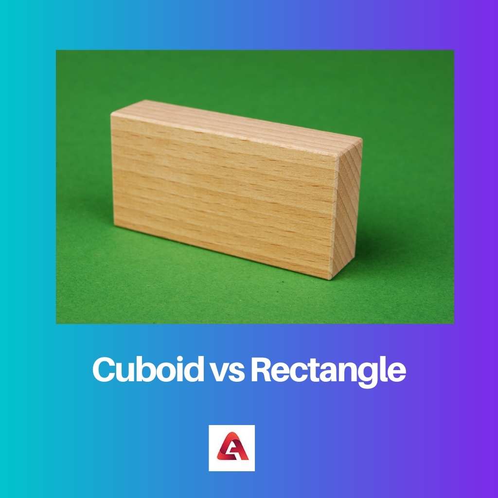 Cuboid vs Rectangle