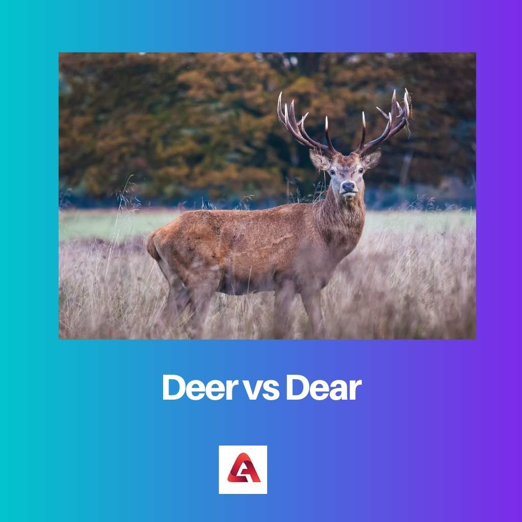 Deer vs Dear