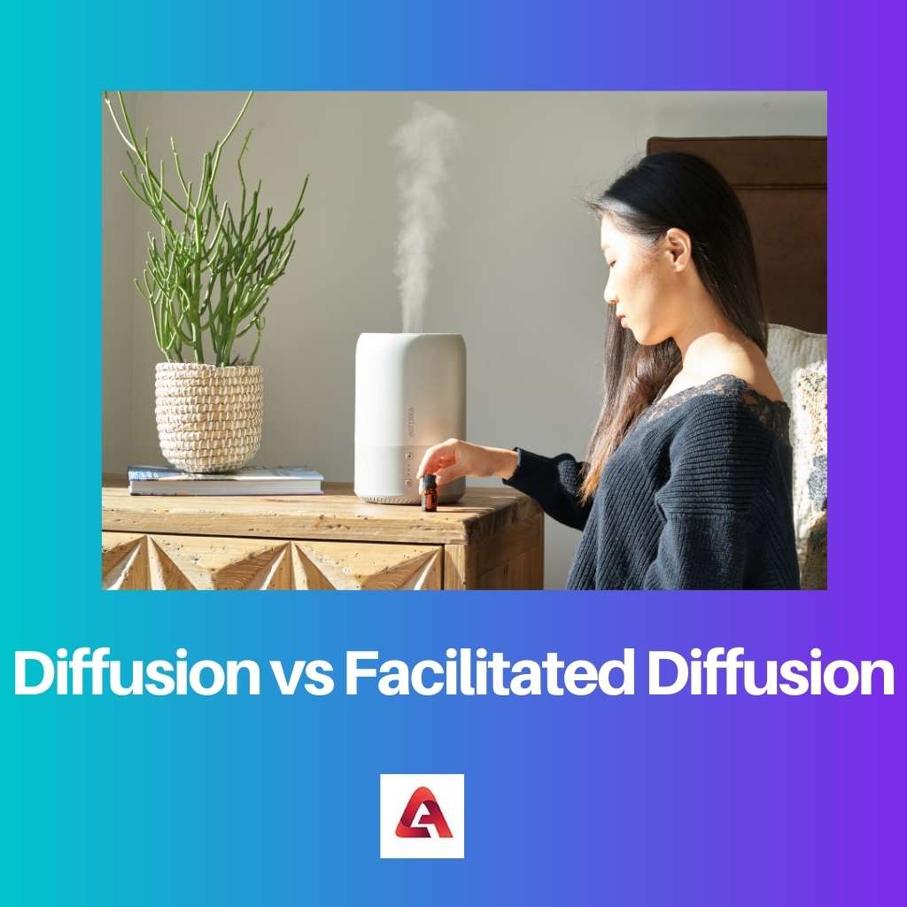 Diffusion vs Facilitated Diffusion