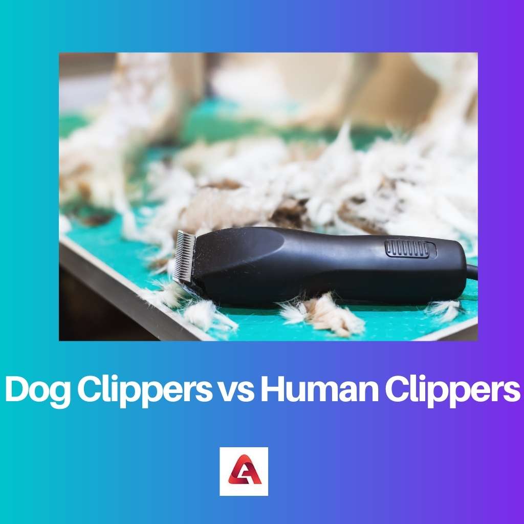Cortapelos para perros vs cortapelos para humanos