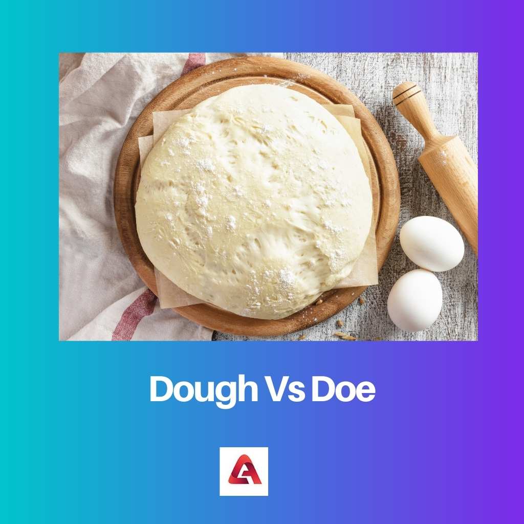 Dough Vs Doe