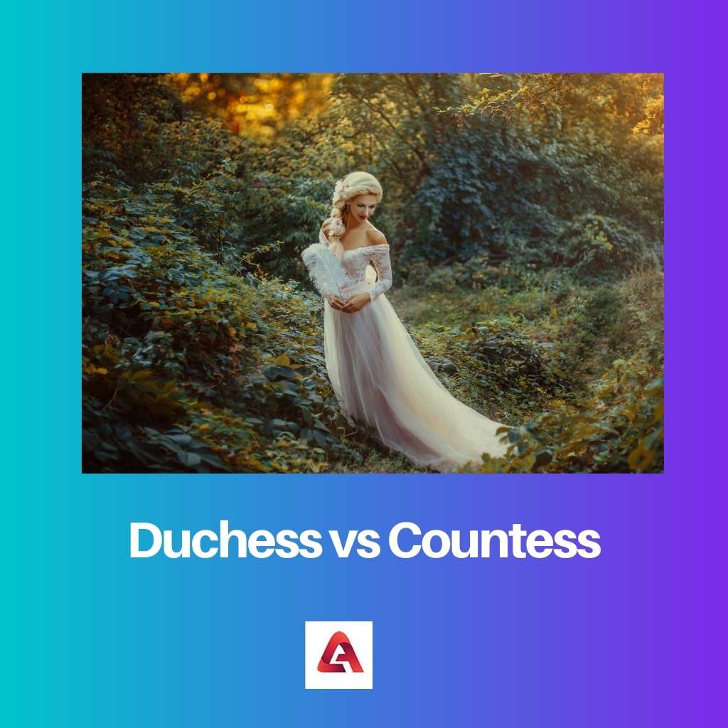 Duchess vs Countess