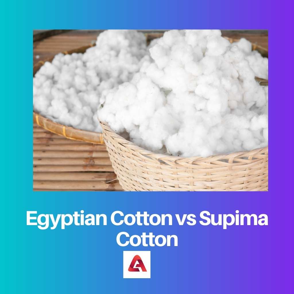 Egyptian Cotton vs Supima Cotton