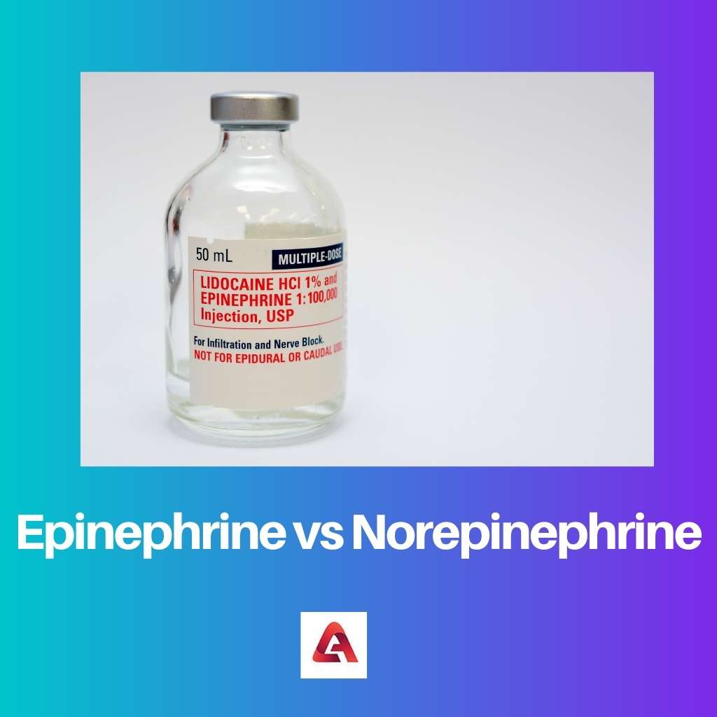 Epinefriin vs norepinefriin