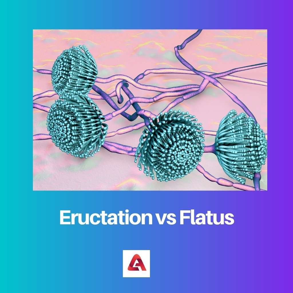 Eructation vs Flatus