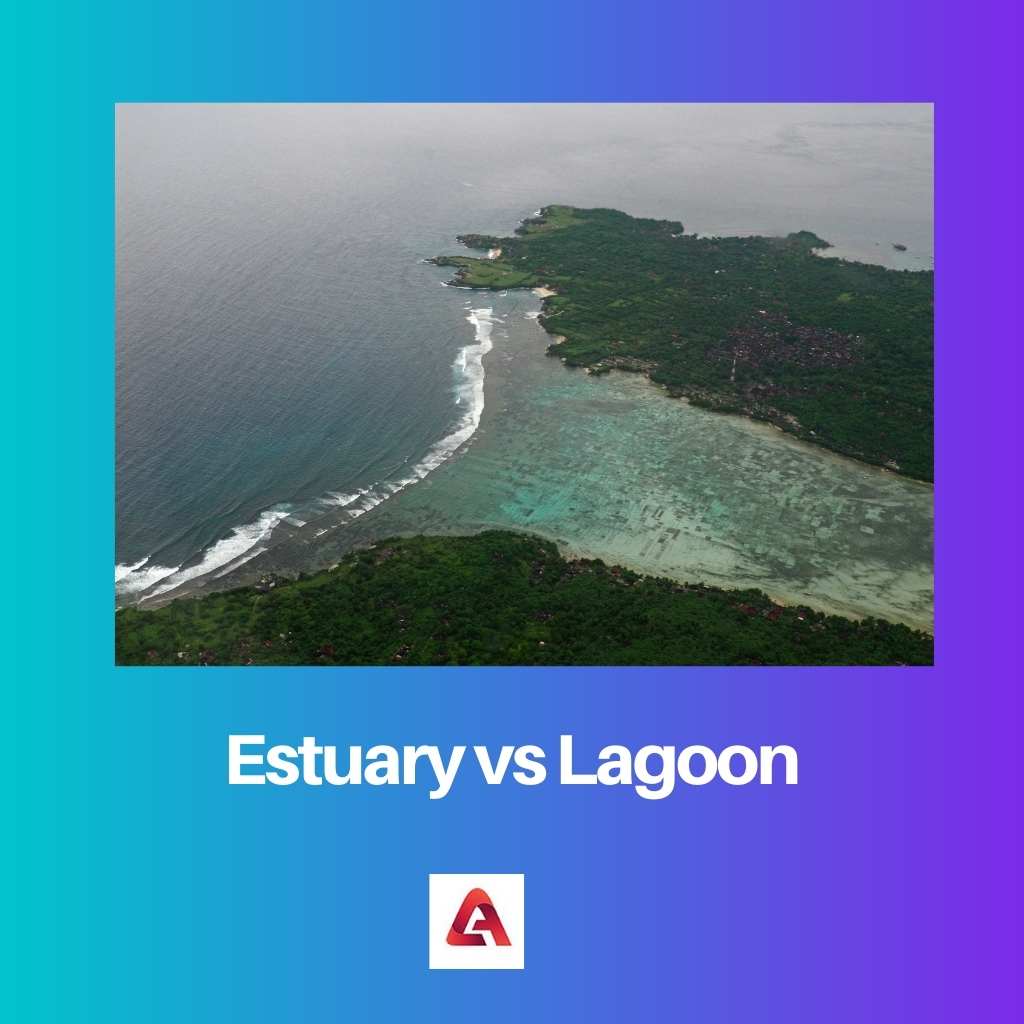 Estuario vs Laguna