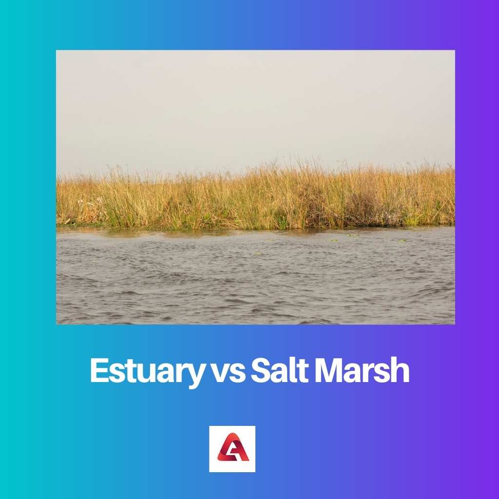 Estuaire vs marais salé