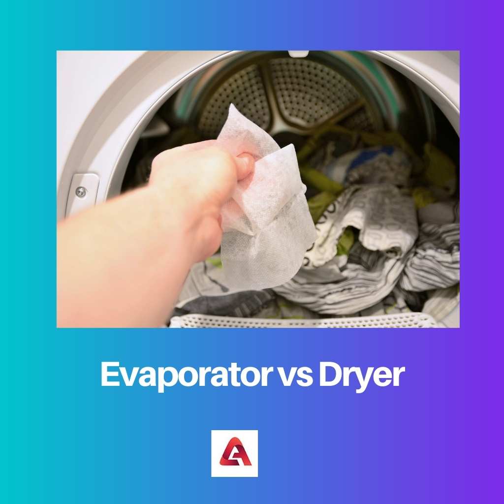 Evaporador vs Secador