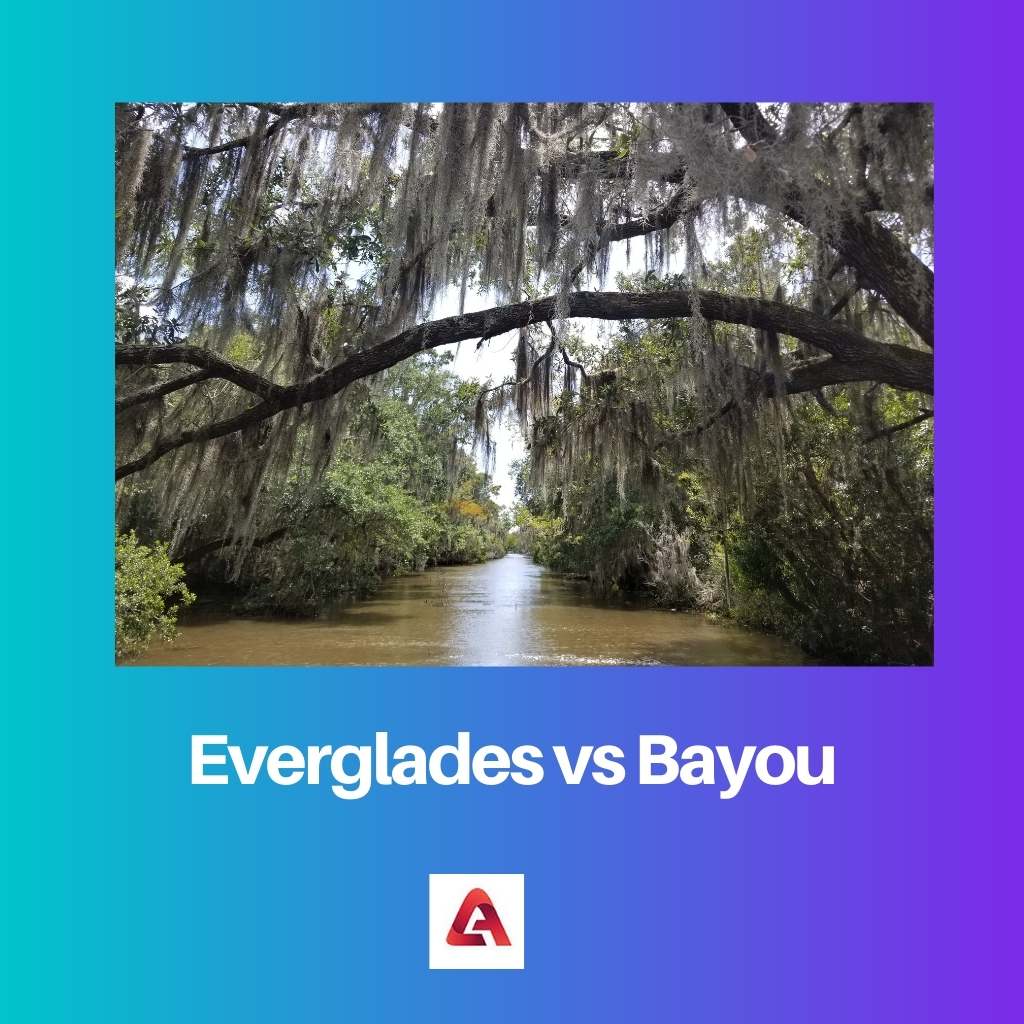 Everglades vs Bayou
