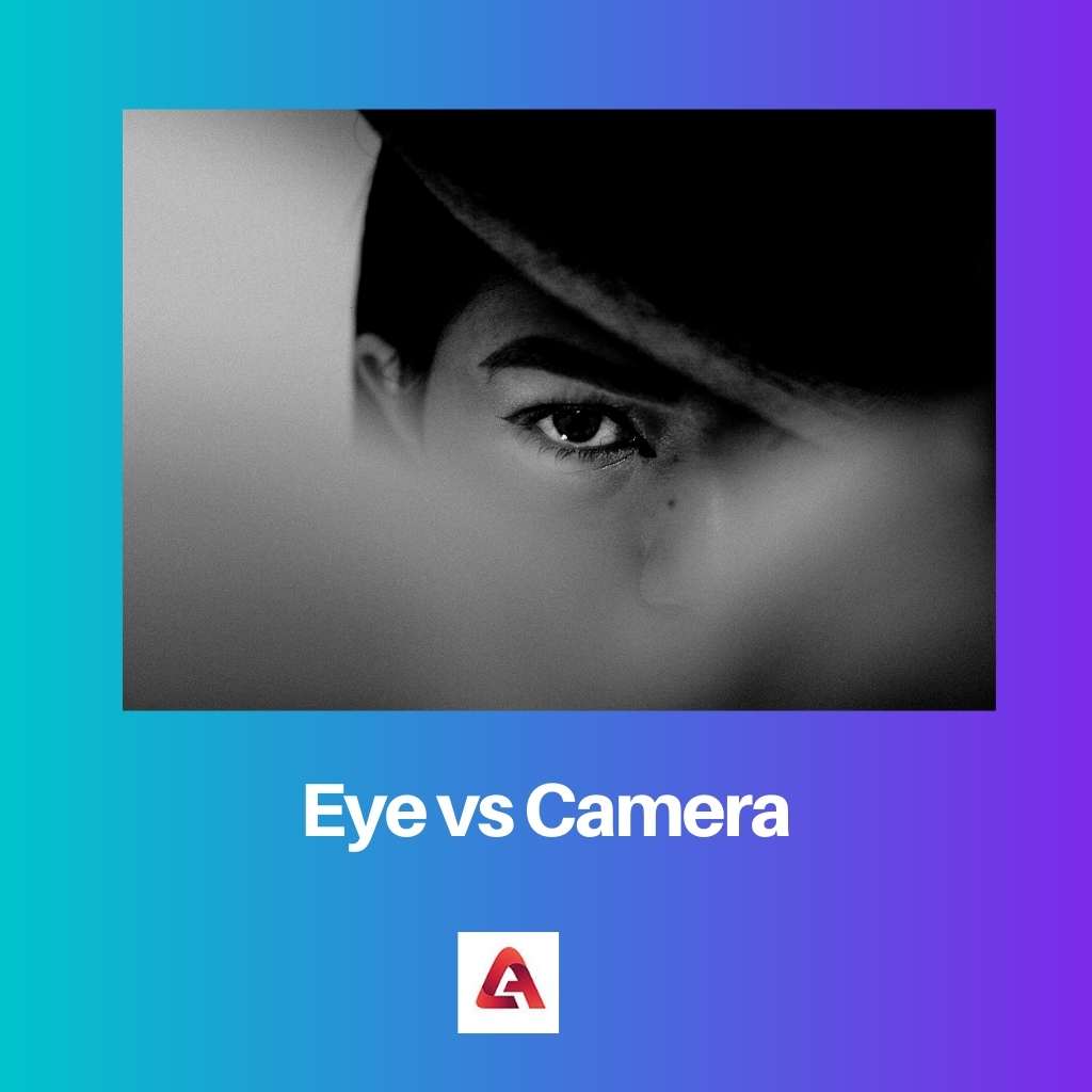 Eye vs Camera