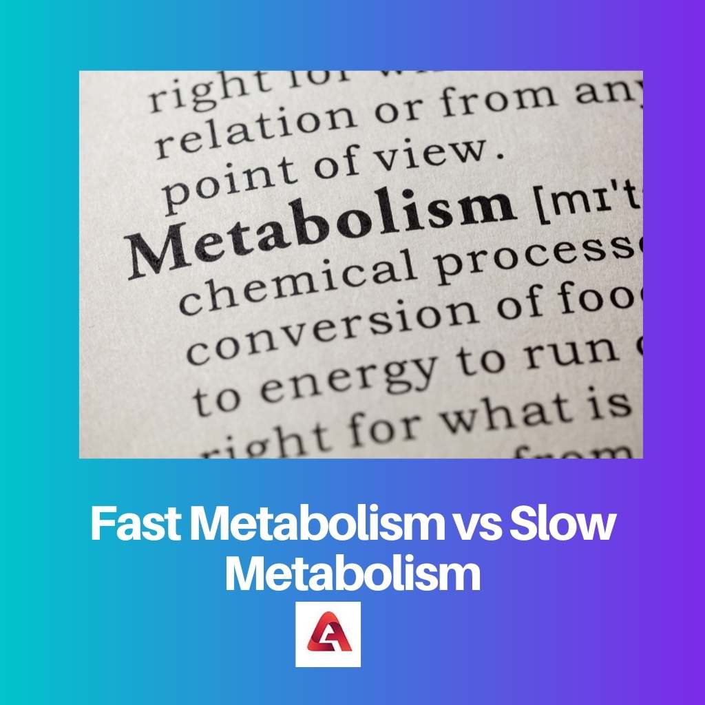 Metabolismo rápido x metabolismo lento