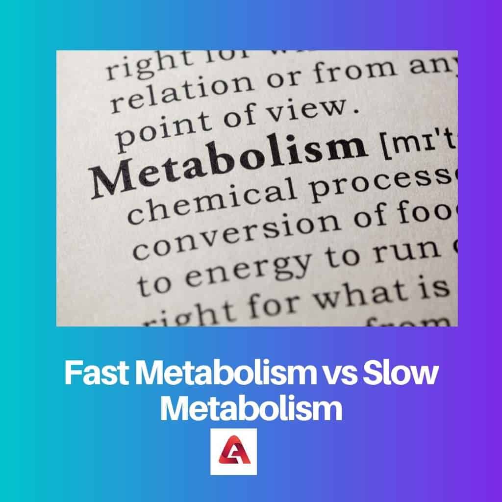 Metabolismo Rápido vs Metabolismo Lento