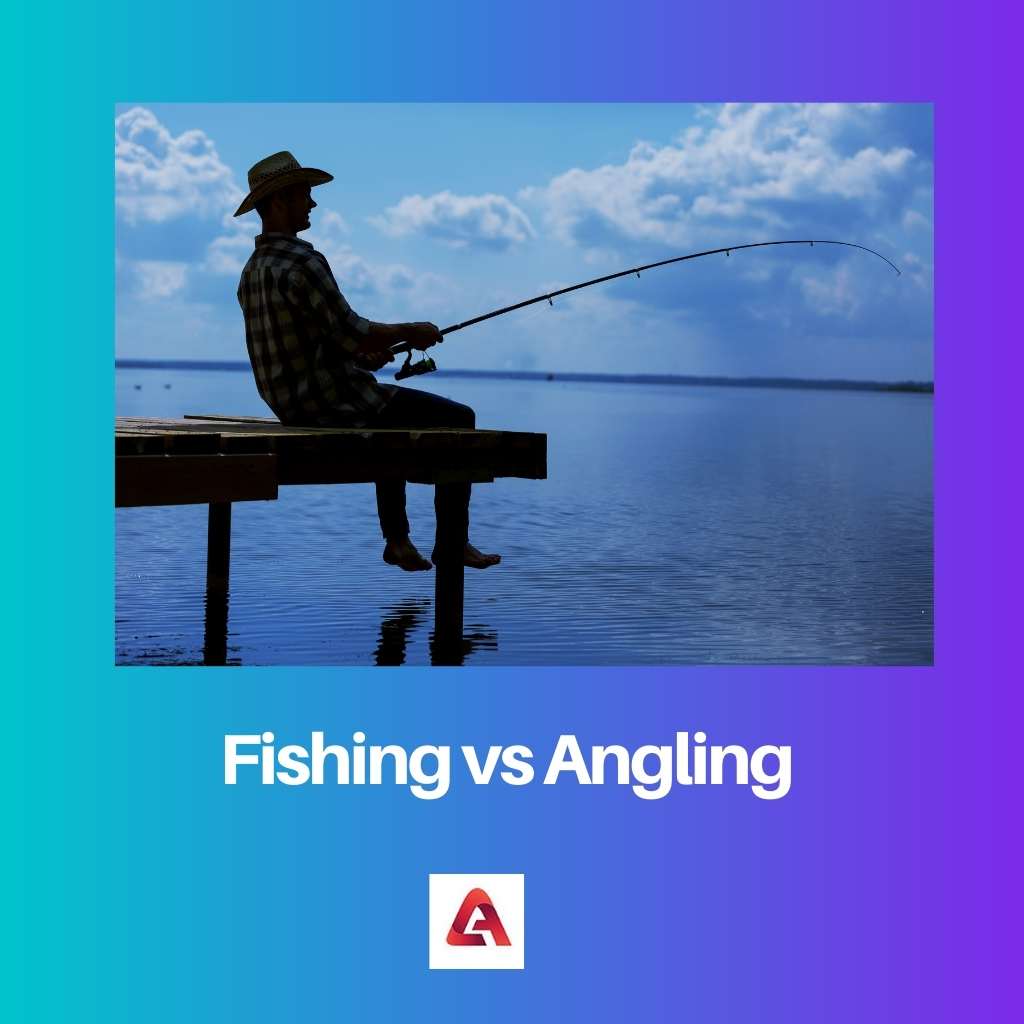 Fishing vs Angling