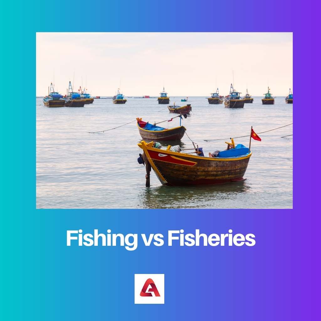 Vissen versus visserij