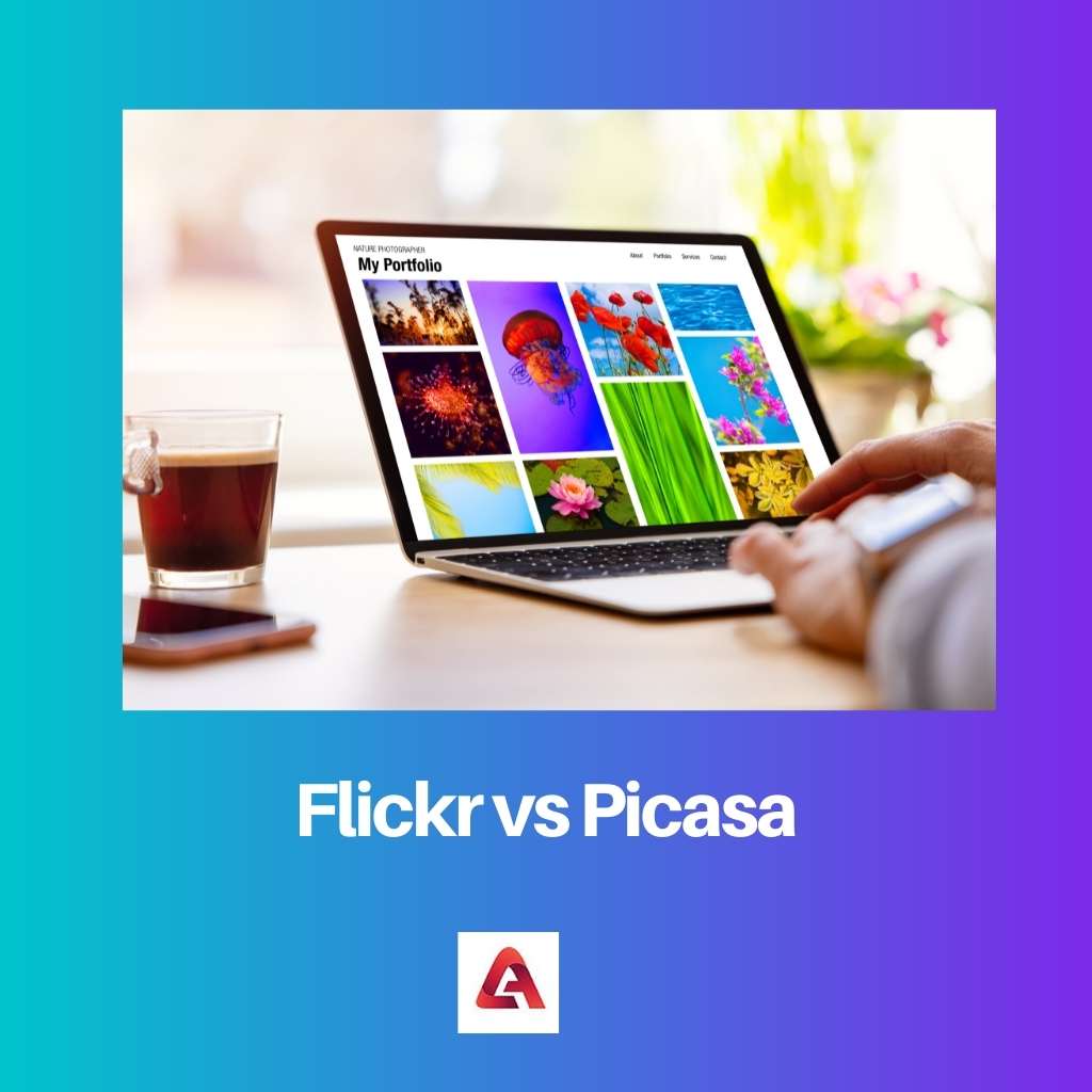 فليكر مقابل بيكاسا