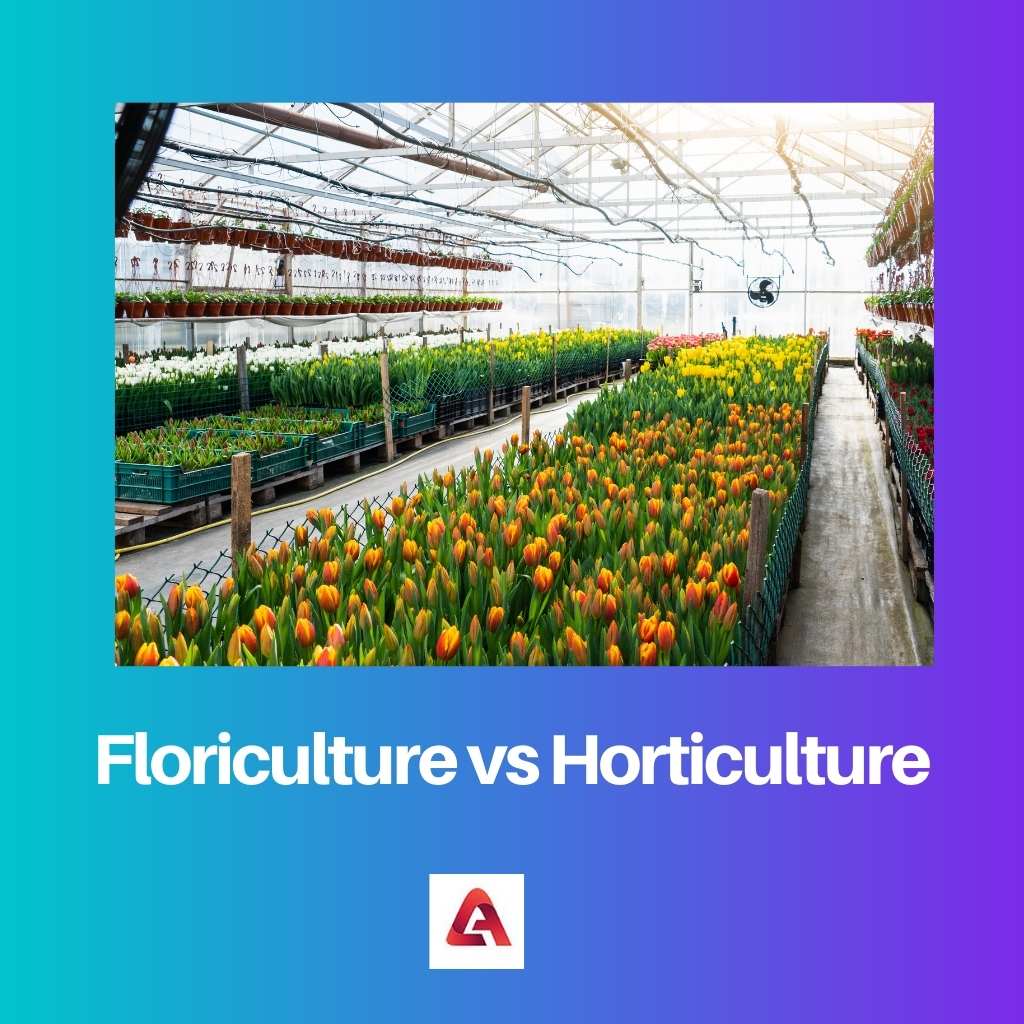Floriculture vs Horticulture