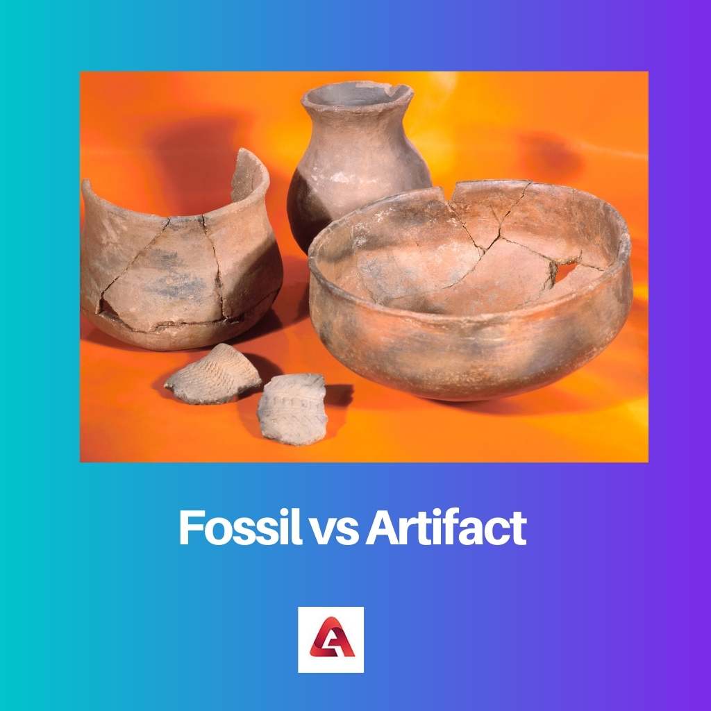 Fossil vs Artifact