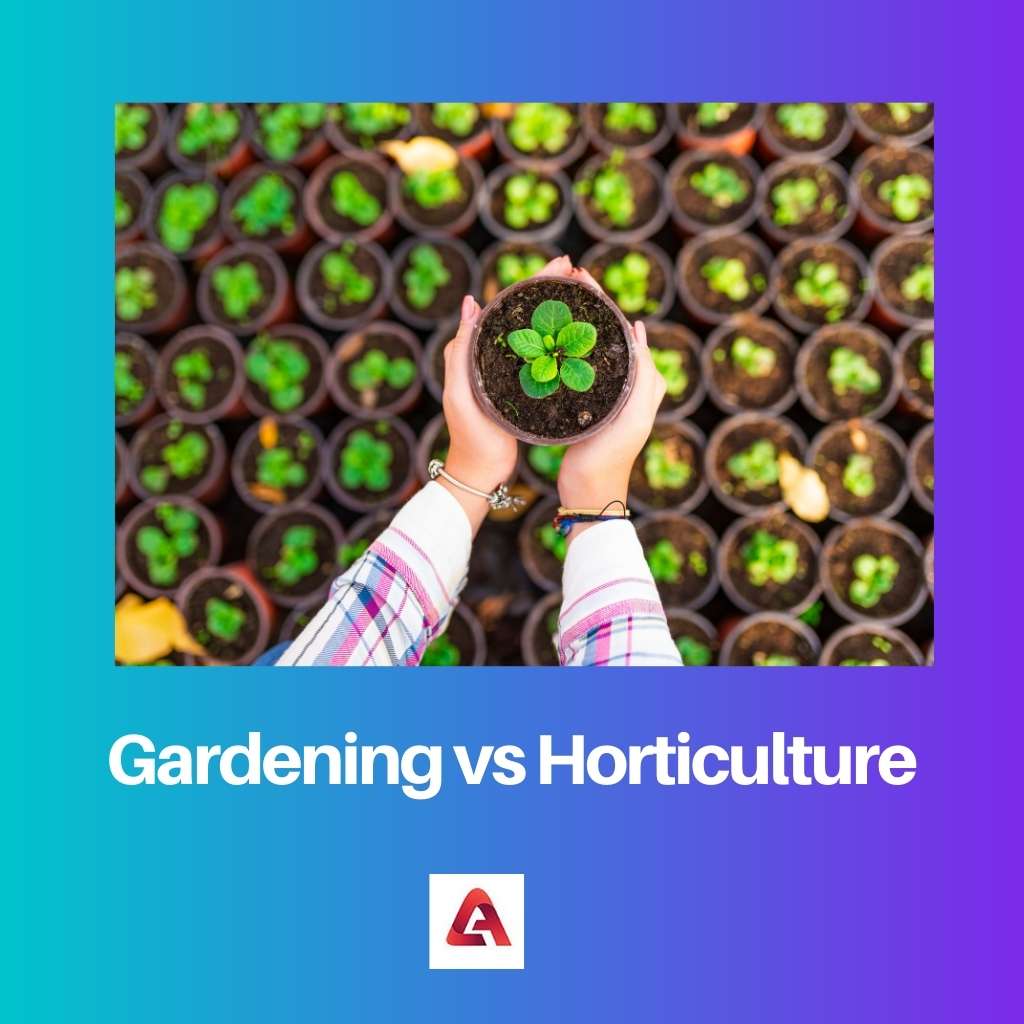 Zahradnictví vs zahradnictví