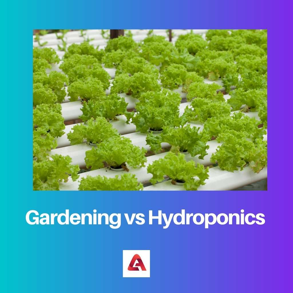 การทำสวน vs ไฮโดรโปนิกส์