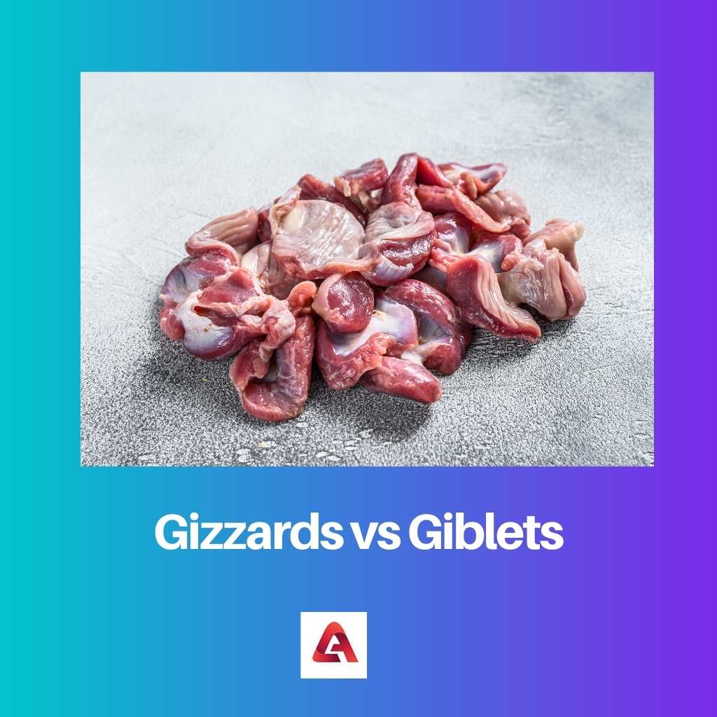 Gizzards vs Giblets