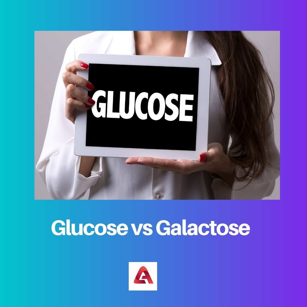 Глюкоза против галактозы