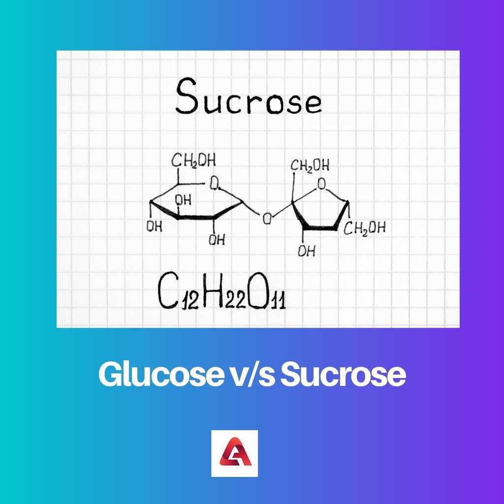 Glucosa vs Sacarosa