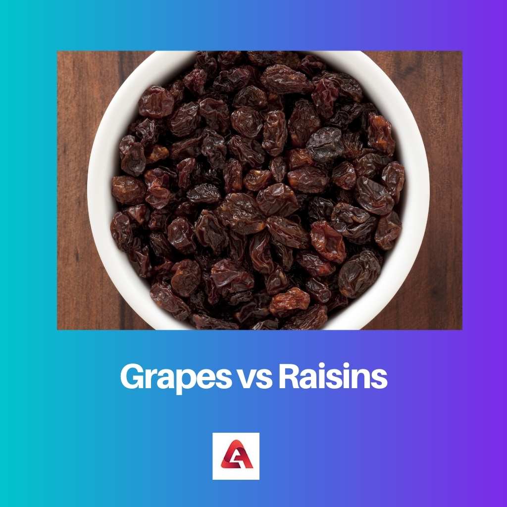 Raisins vs raisins secs