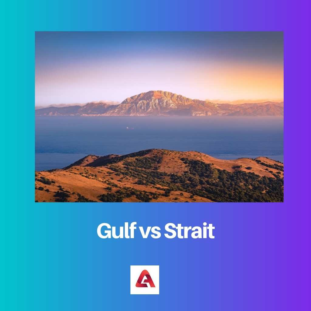 Teluk vs Selat