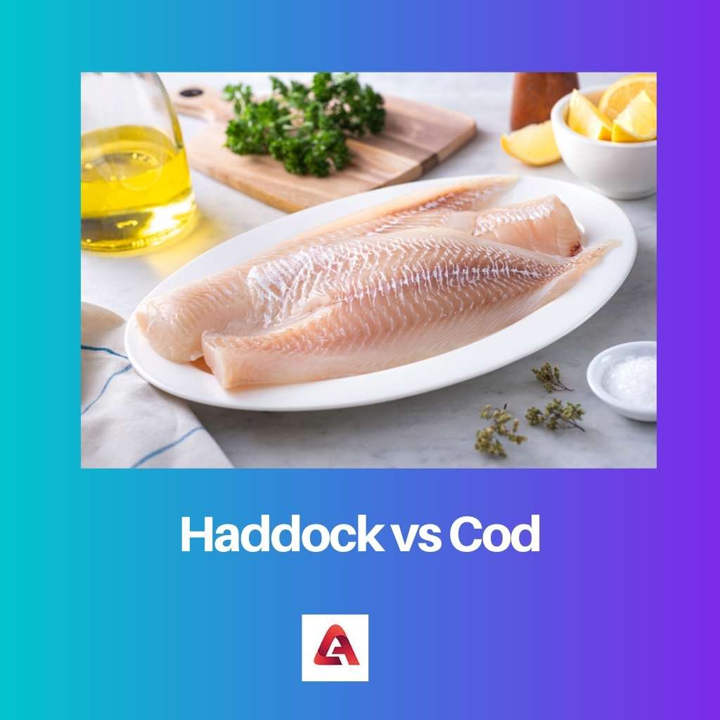 Haddock vs Cod