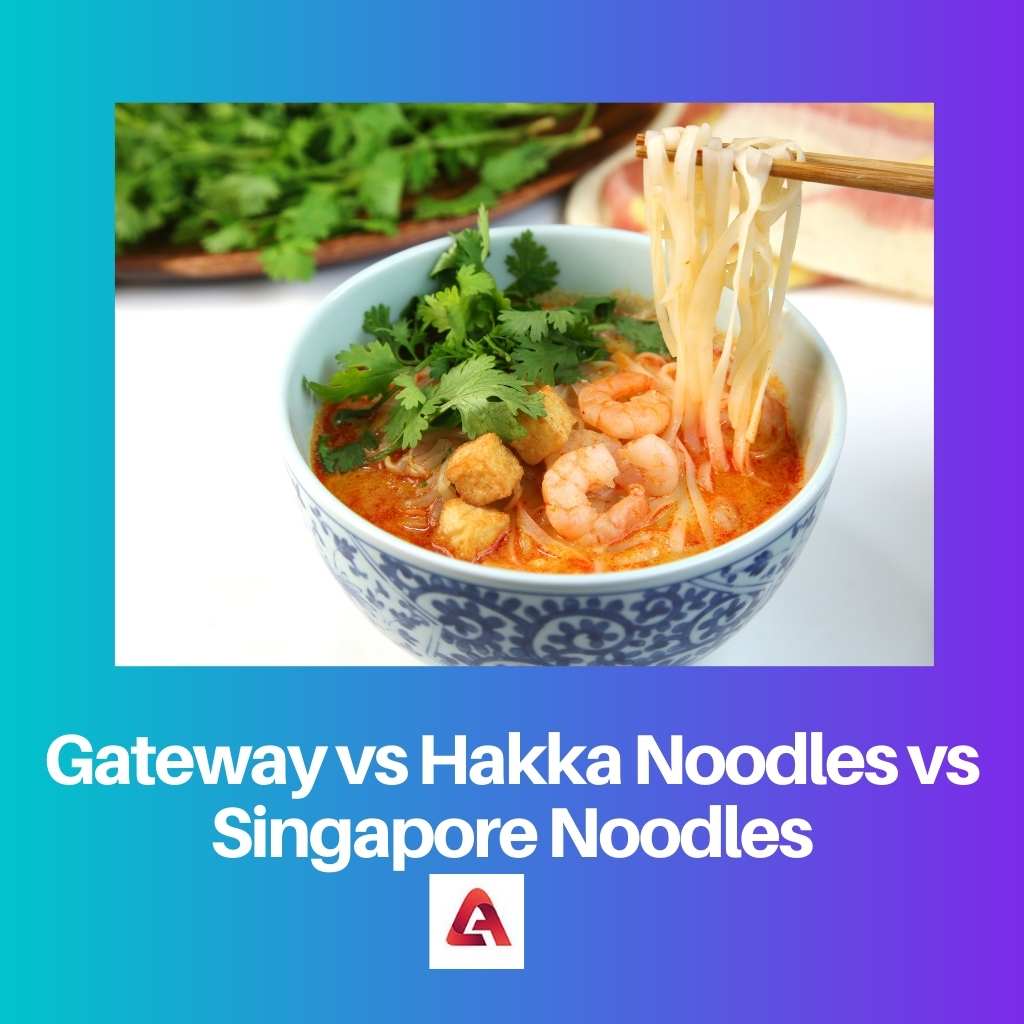 Hakka Noodles contre Singapour Noodles