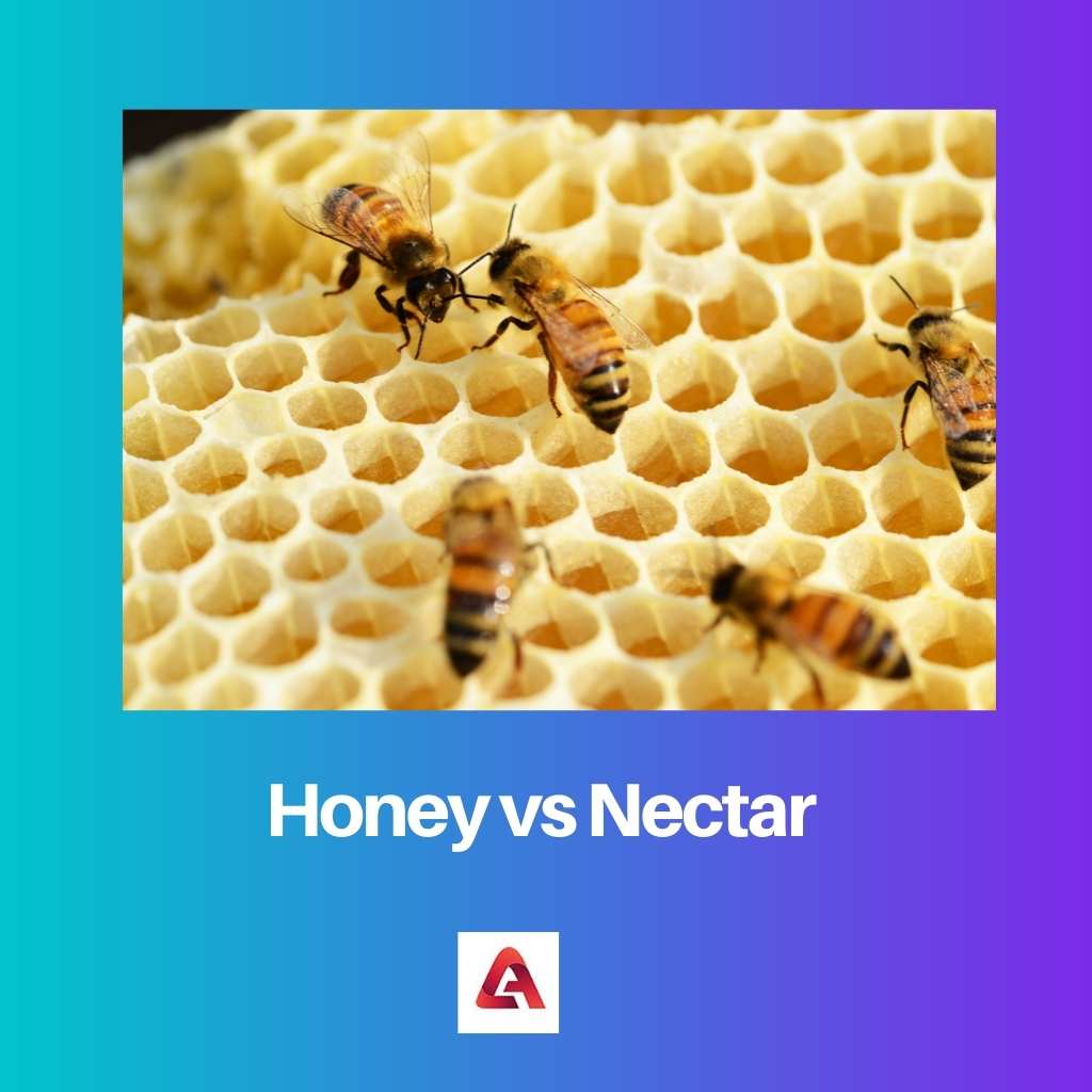 Honig gegen Nektar