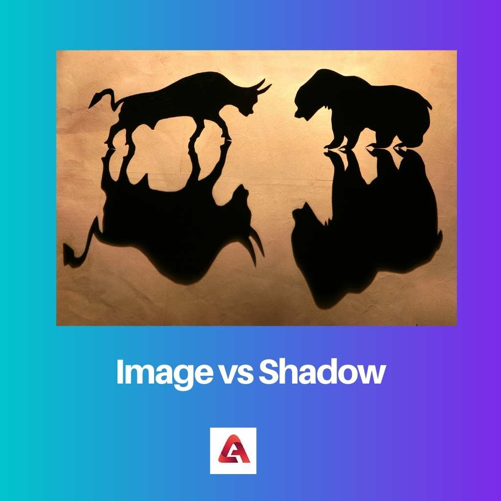 ภาพ vs เงา