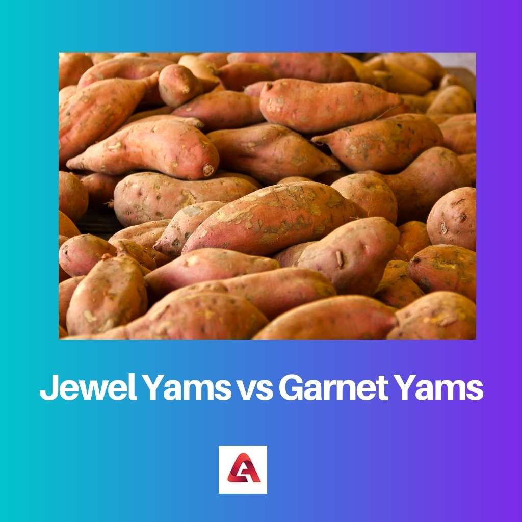Jewel Yams versus Garnet Yams