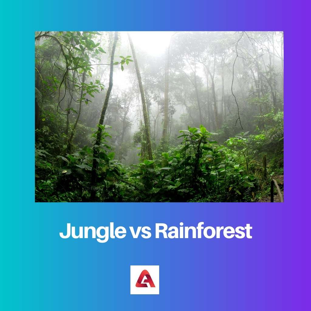 ジャングル対熱帯雨林