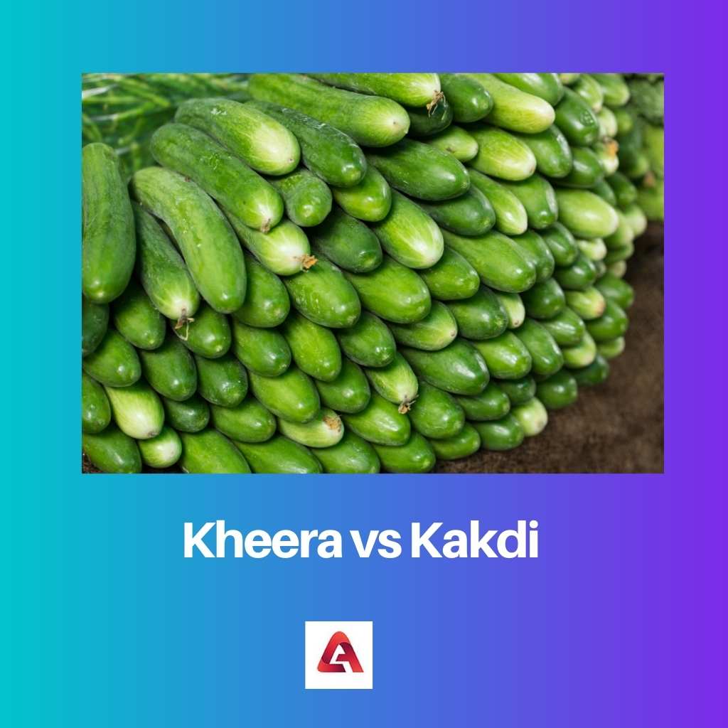 Kheera vs Kakdi