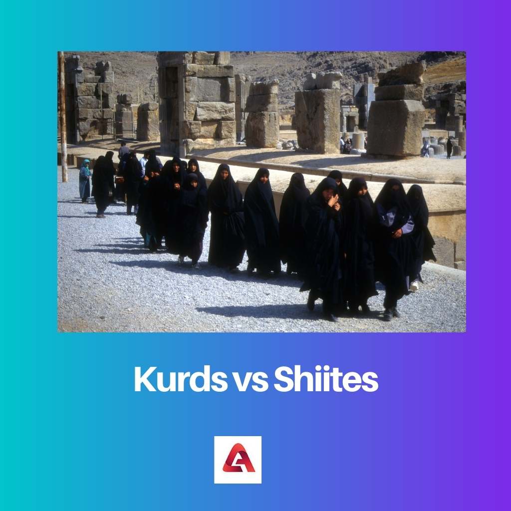 Kurds vs Shiites
