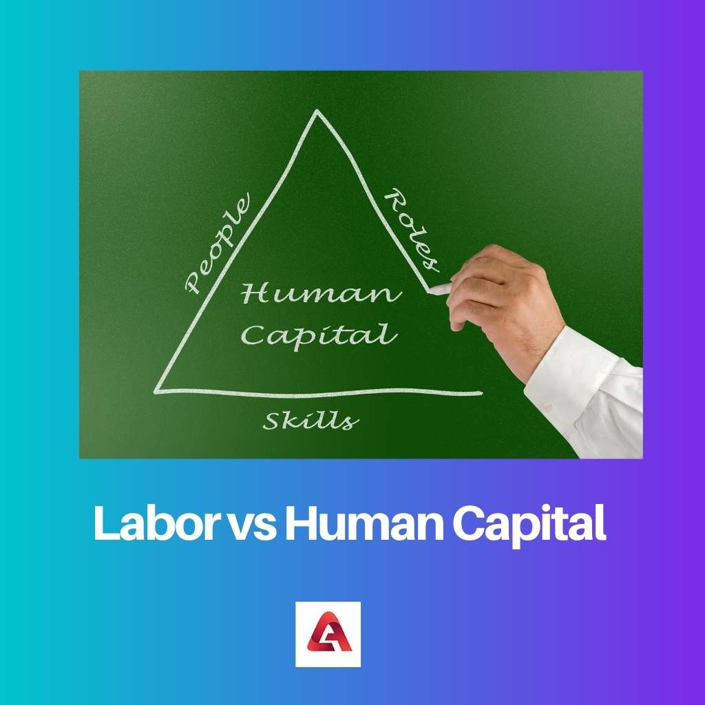 Travail vs capital humain