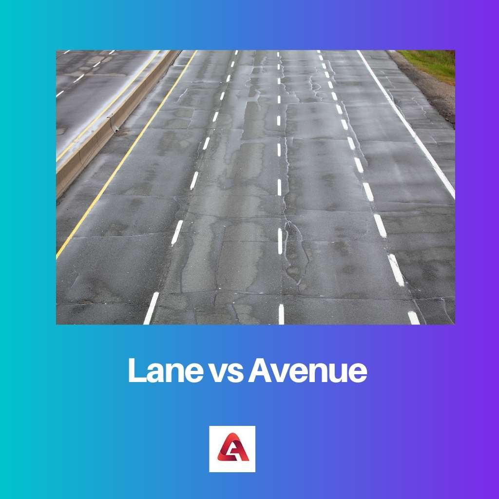 Lane vs Avenue