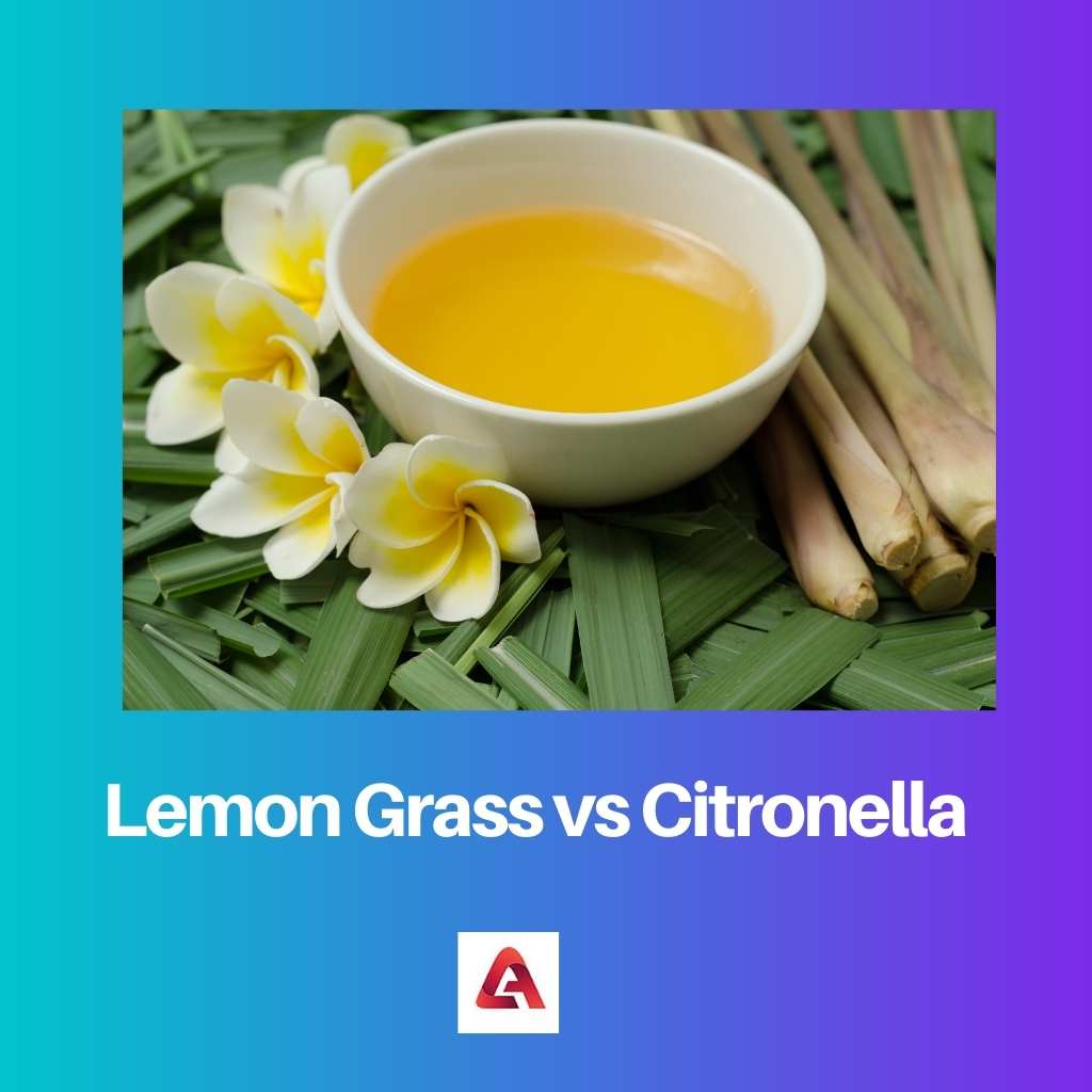 Hierba de limón vs citronela