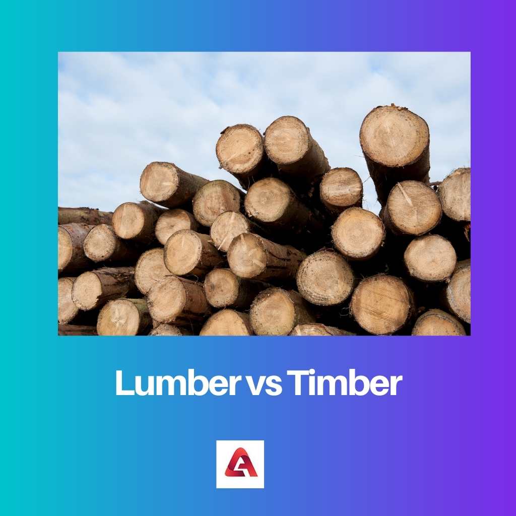 材木 vs 材木