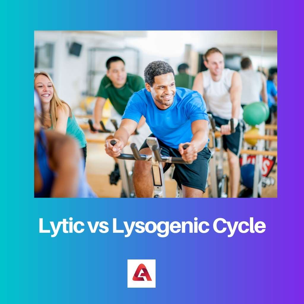 Ciclo litico vs ciclo lisogenico