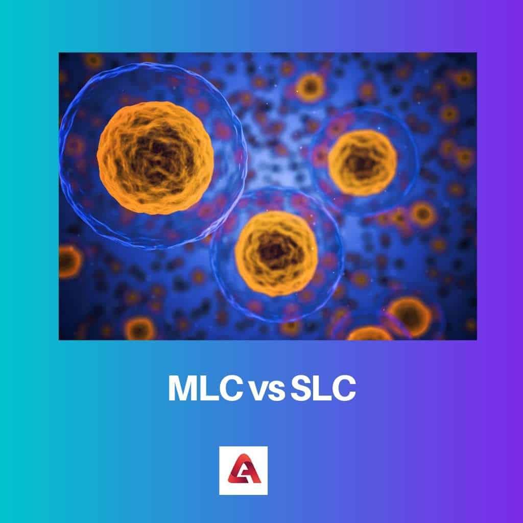 MLC против SLC