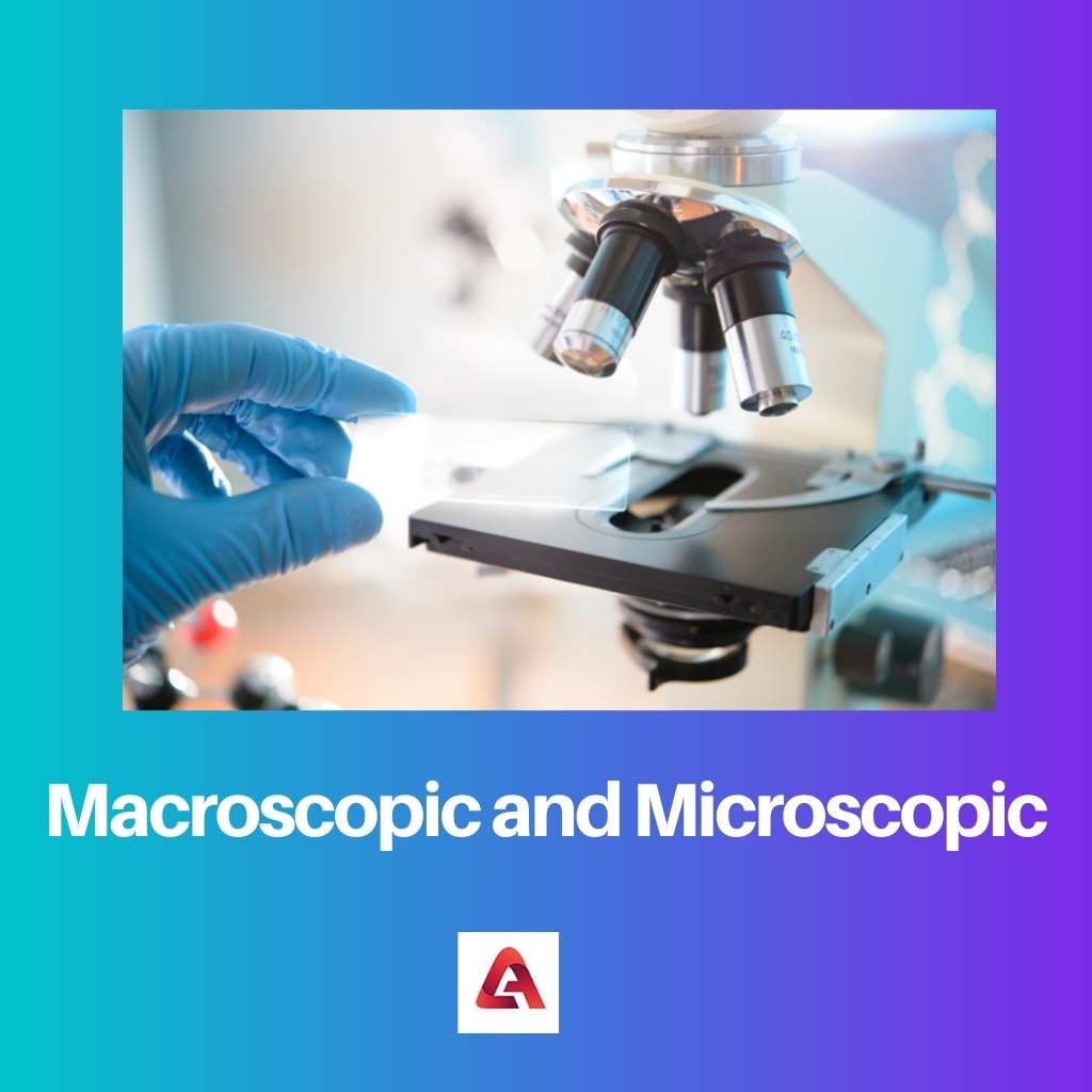 Macroscopic and Microscopic