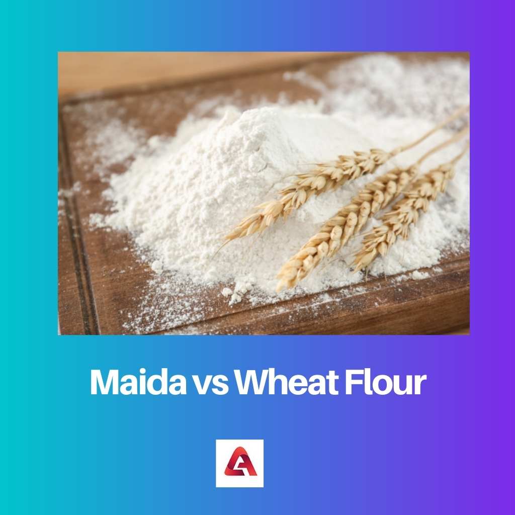 Maida vs 小麦粉