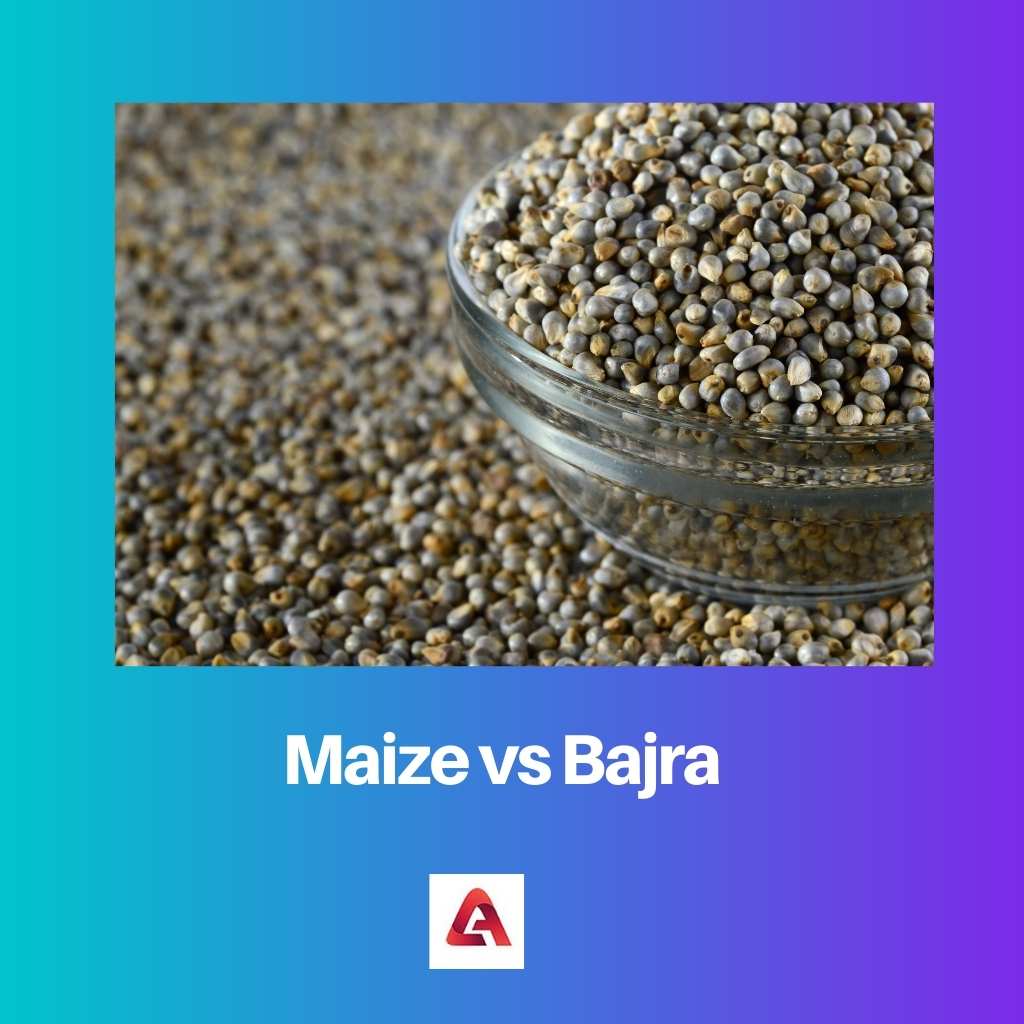 Maïs versus Bajra
