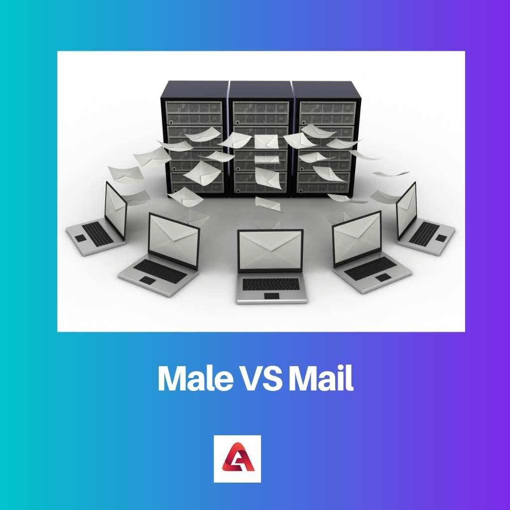 Male VS Mail