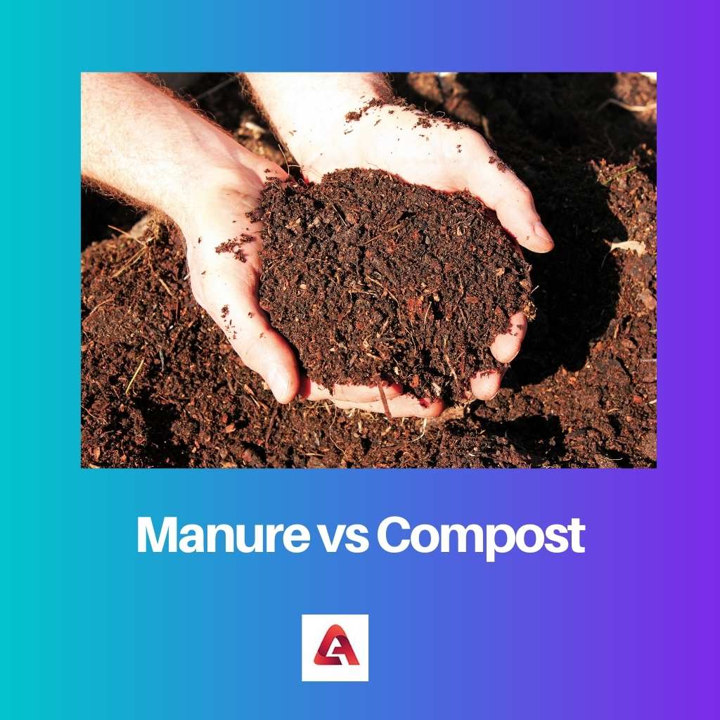 Manure vs Compost