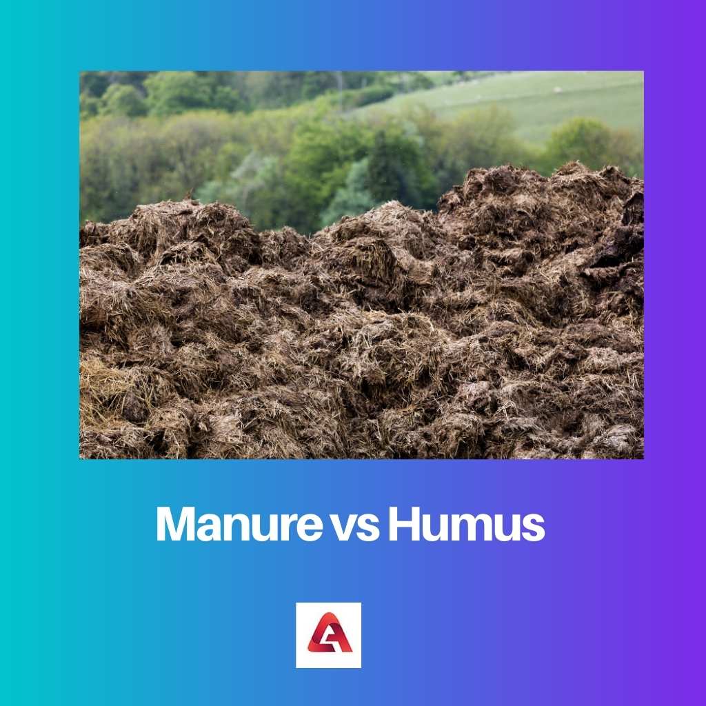 Pupuk vs Humus