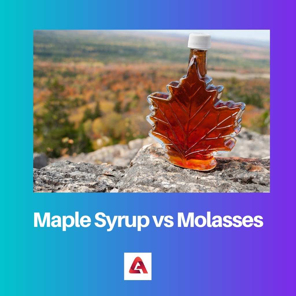 Sirup Maple vs Molase