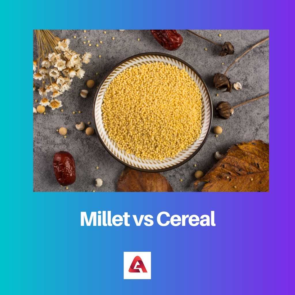 Millet vs Cereal